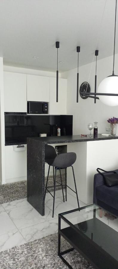 New Modern Apartment Uzhhorod Εξωτερικό φωτογραφία